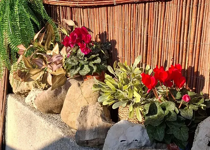 Et Jardin Bed and breakfast